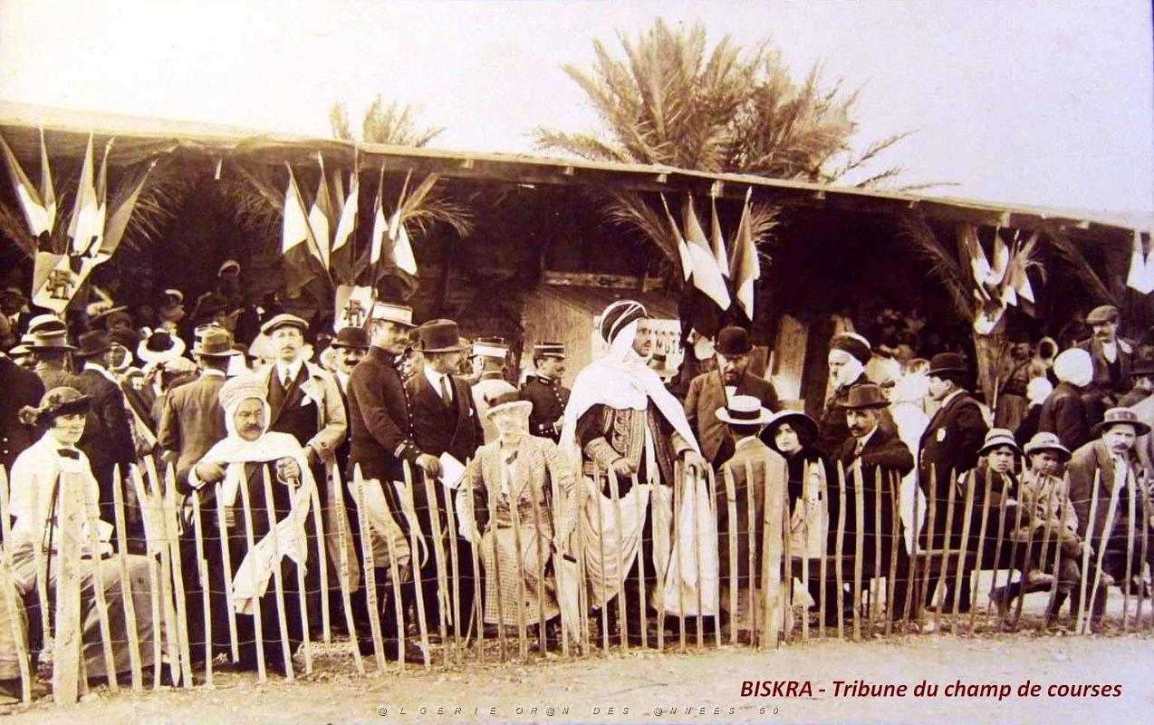 BISKRA - LES COURSES (1).jpg